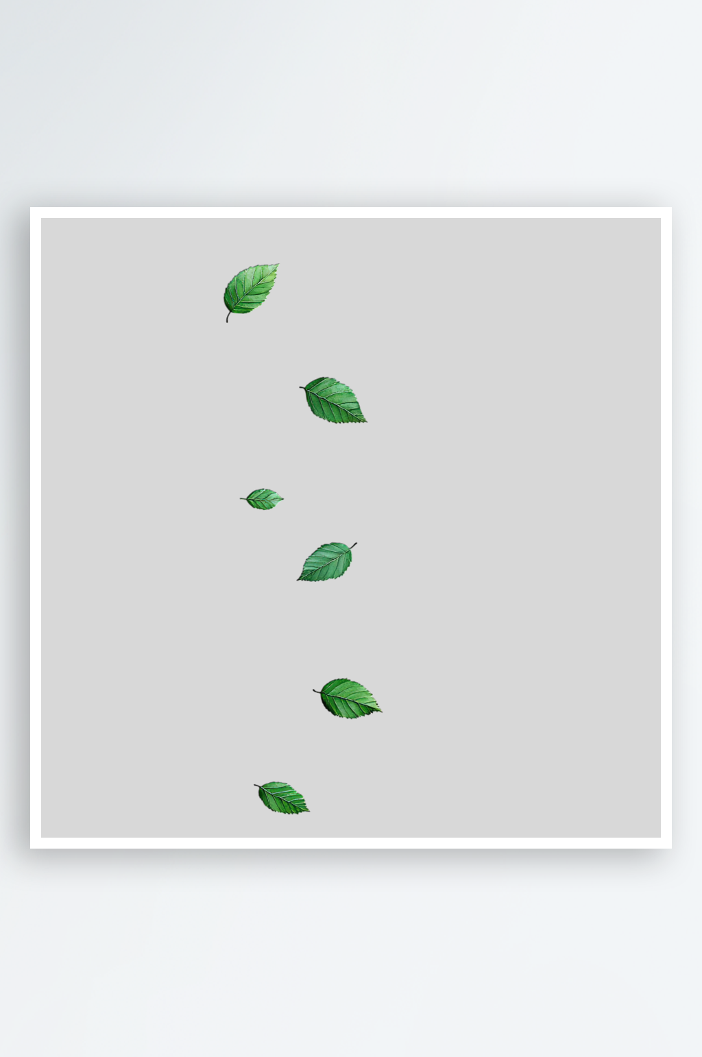手绘植物漂浮免抠元素素材