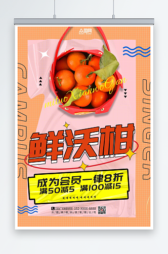 柑子沃柑农产品水果海报