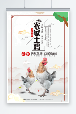 农家土鸡家禽宣传海报