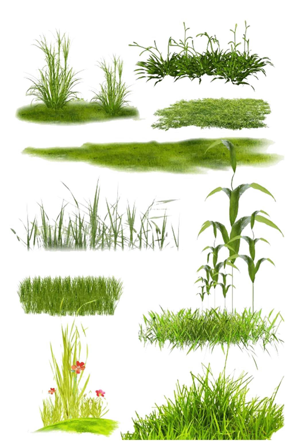 花草绿叶植物素材素材