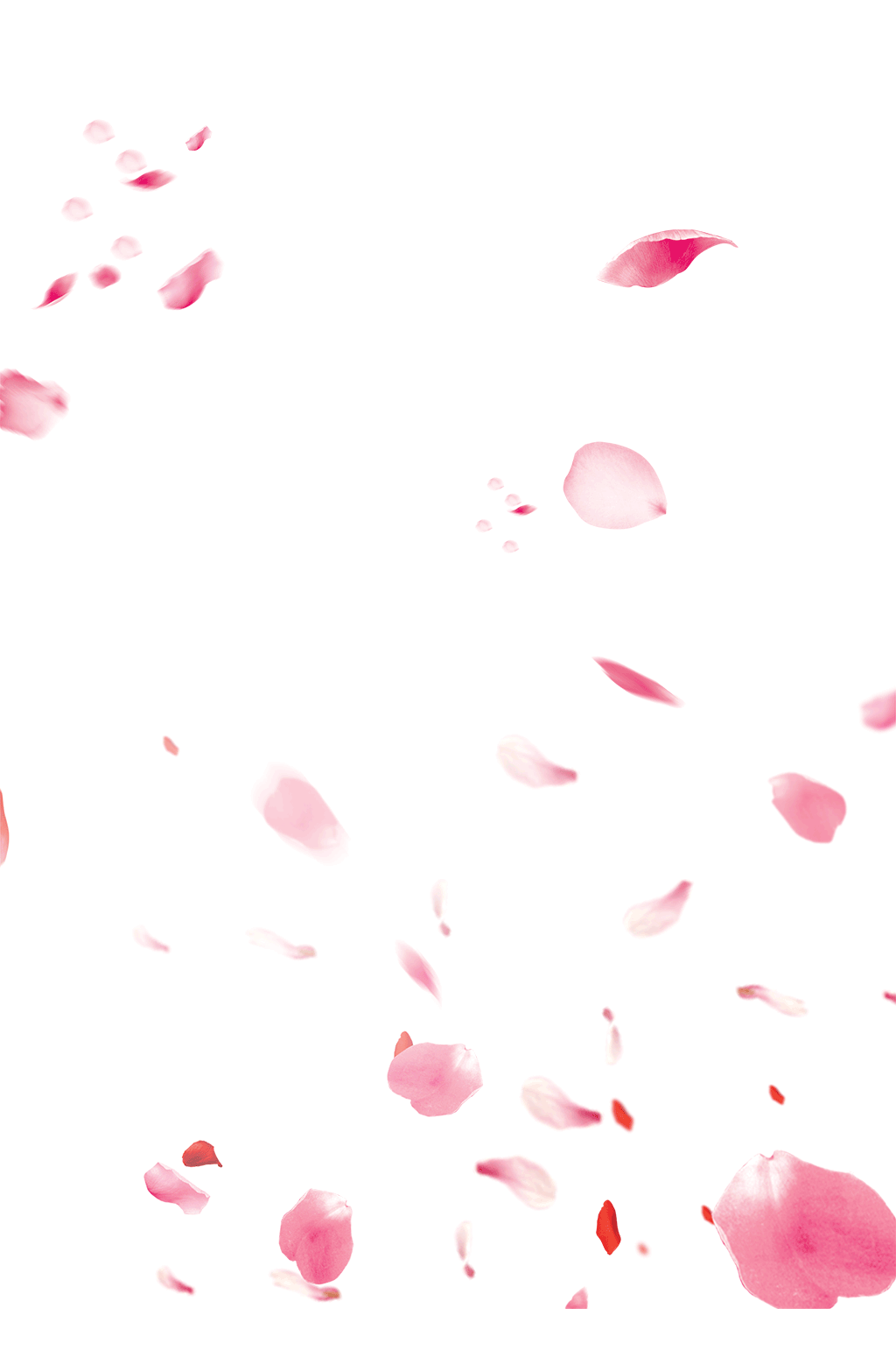 桃花花瓣装饰背景素材