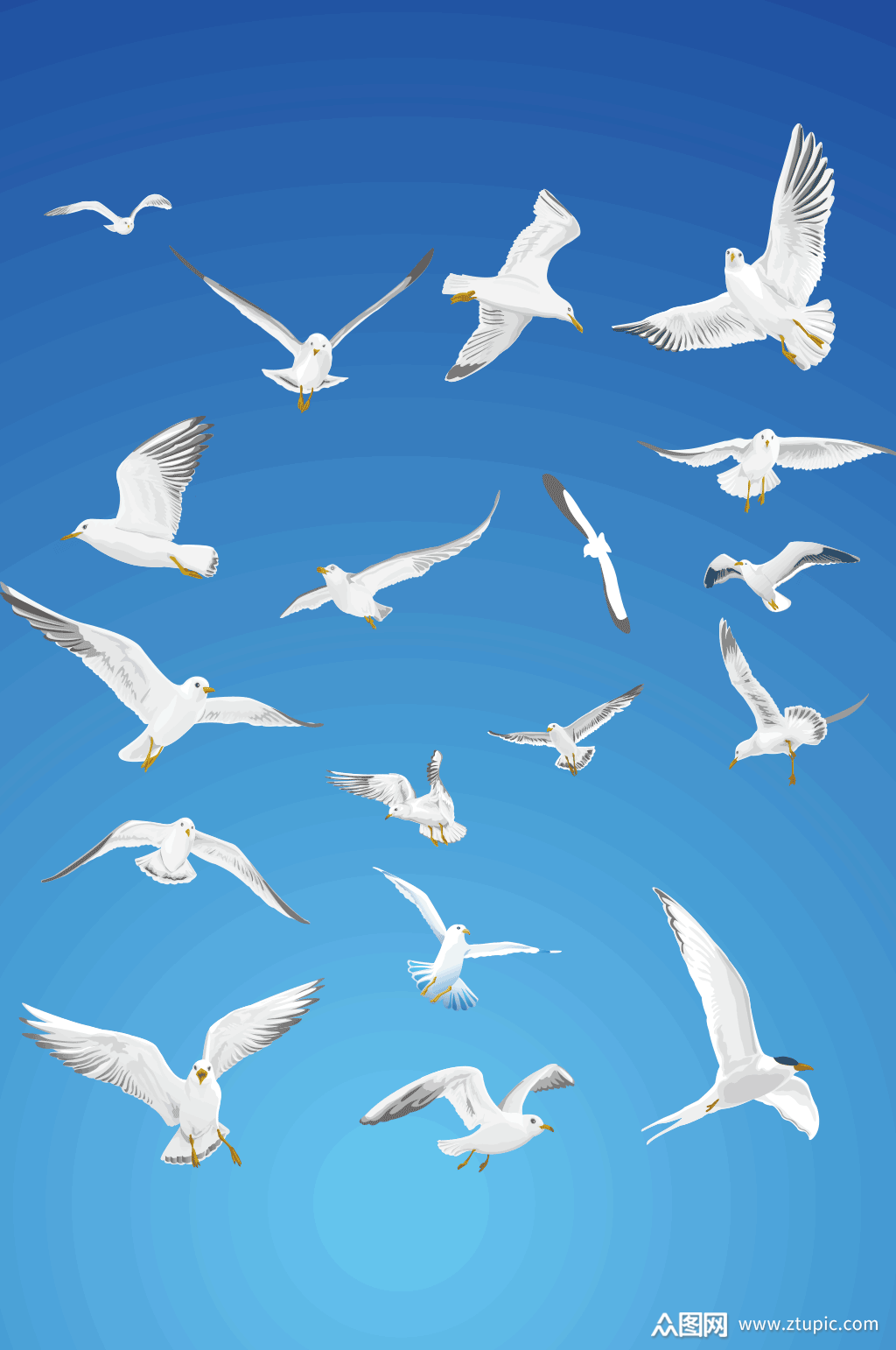 飞翔的海鸥和鸽子矢量素材模板下载-编号294941-众图网