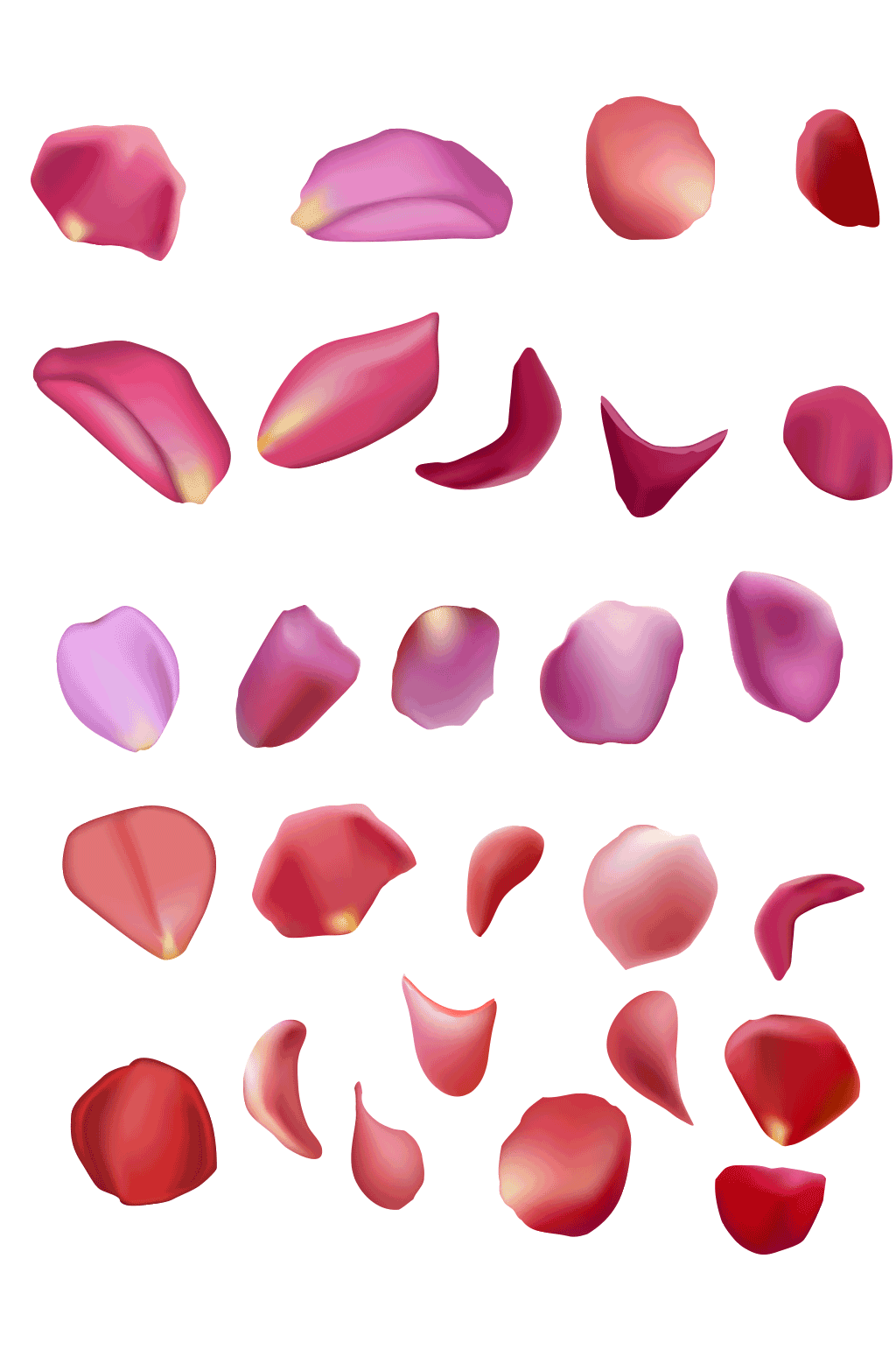 各种精美花瓣矢量素材