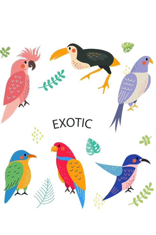 彩绘鸟类矢量素材