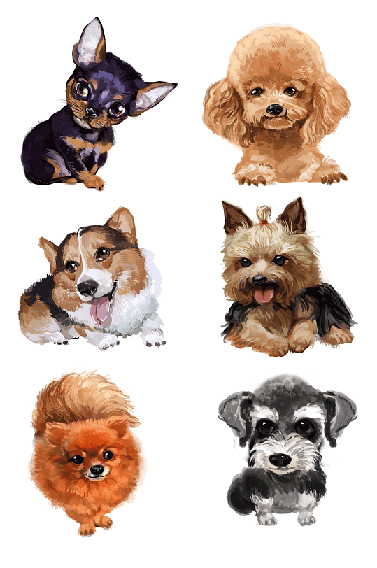 水彩晕染风格宠物狗