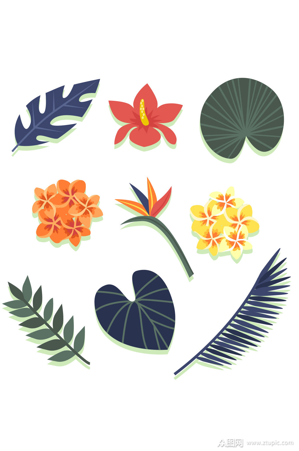 创意热带花草矢量素材