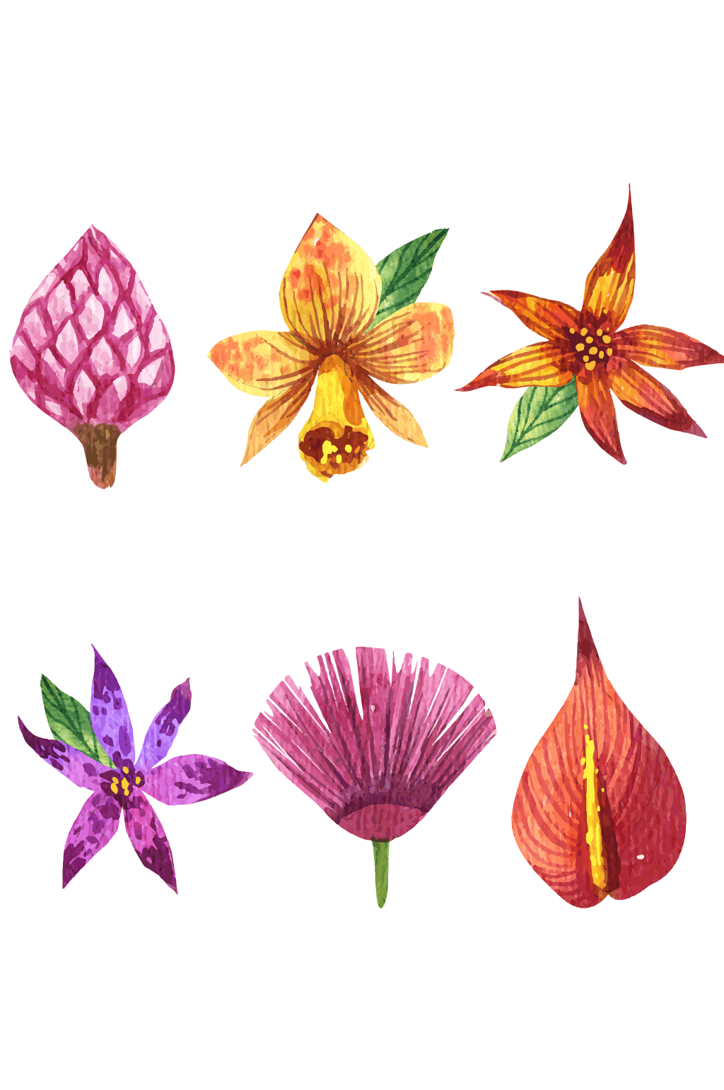 彩绘热带花朵矢量素材素材