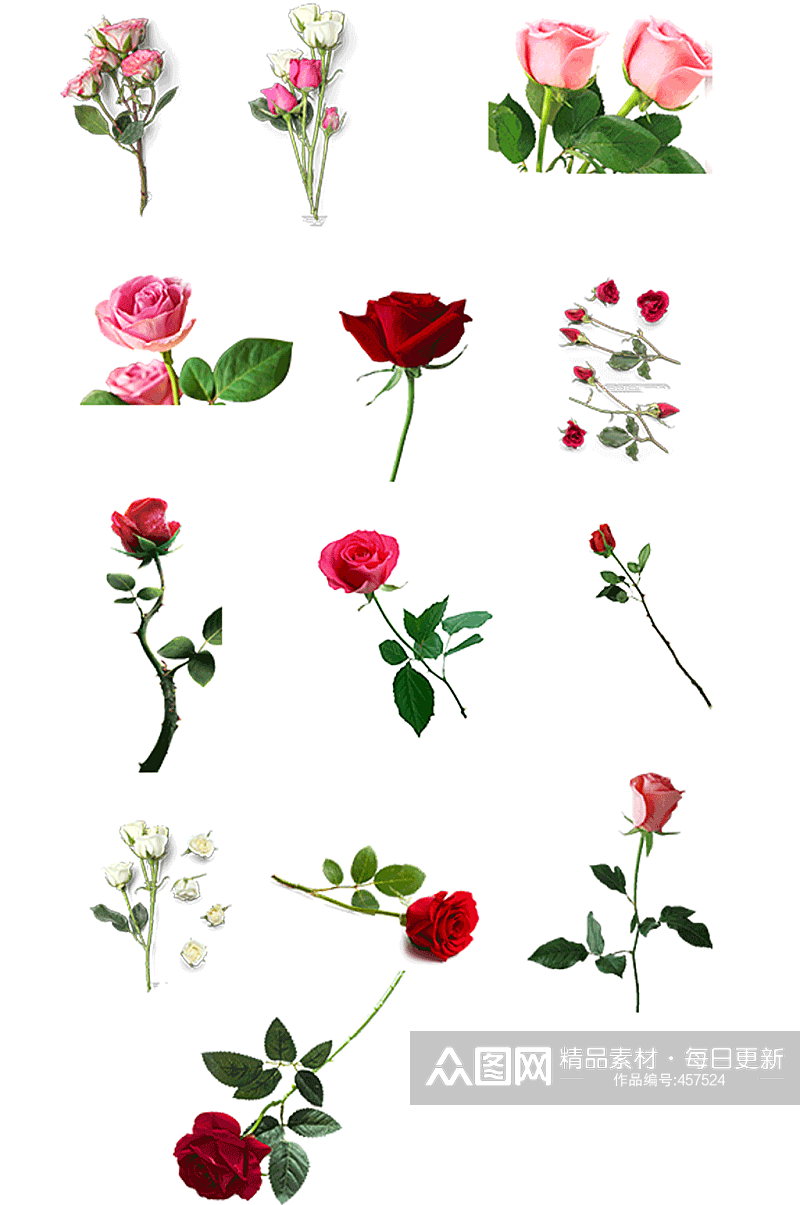 七夕节红色玫瑰粉色玫瑰素材