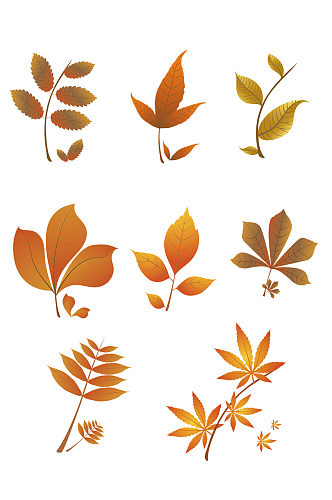 秋季树叶植物矢量素材