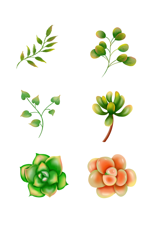 水彩小清新植物装饰设计元素