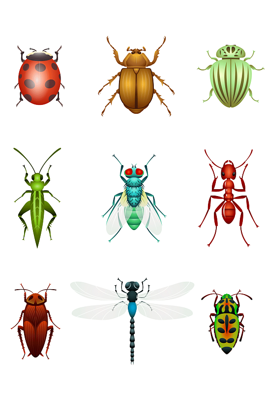 彩色手绘昆虫设计矢量素材