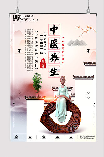 中式传统禅意养生讲座养生保健海报