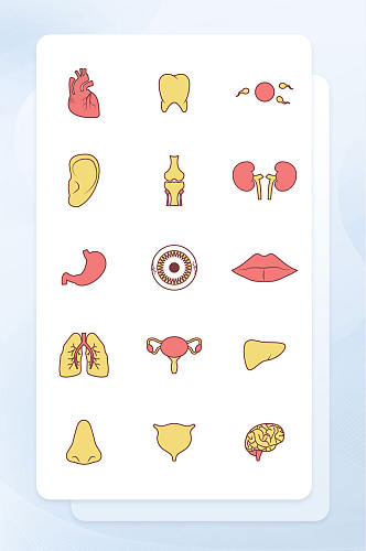 红黄色线性填充人体器官矢量图标集