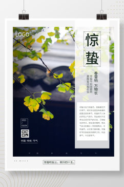 惊蛰中国传统24节气宣传春天叶子宣传借势海报