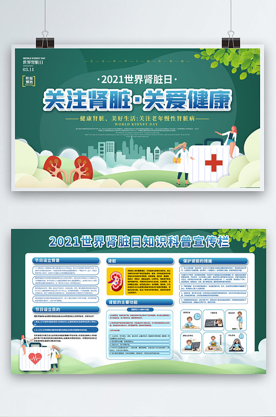 311世界肾脏日健康医疗宣传栏展板
