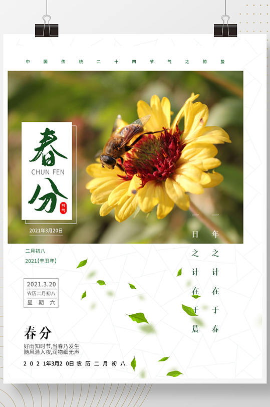 春分中国传统二十四节气海报