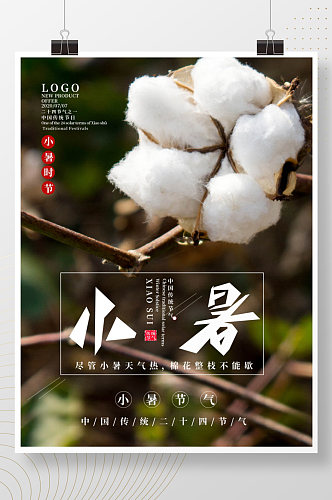 中国传统二十四节气小暑宣传海报
