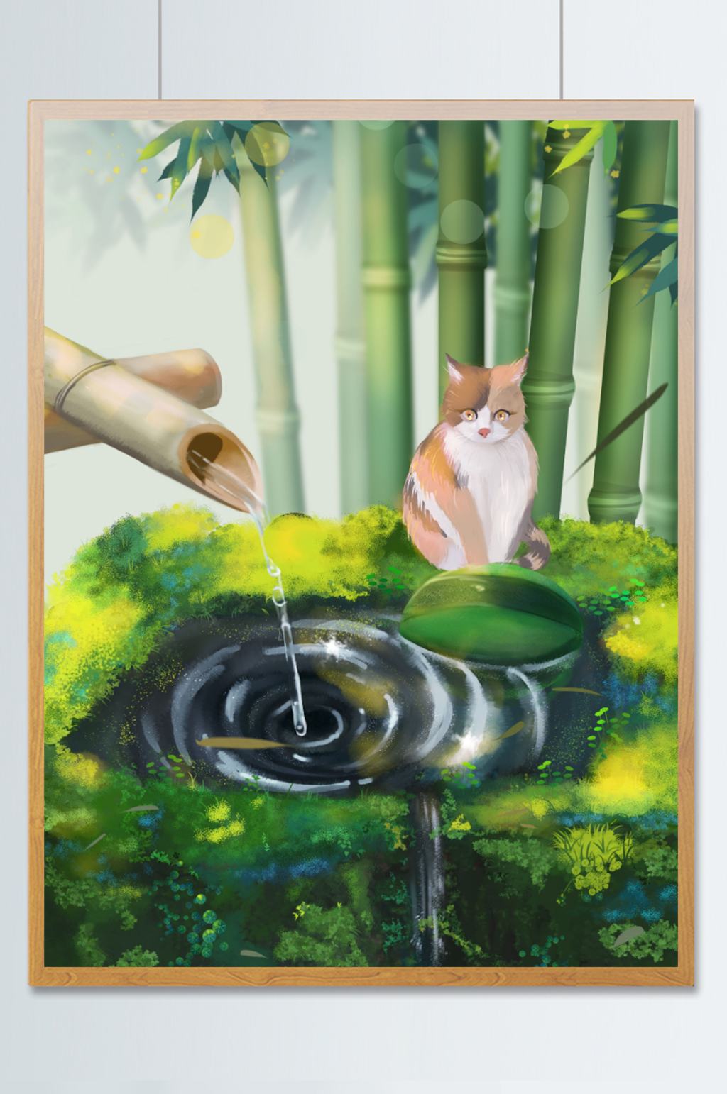 夏天在水池看西瓜的猫素材