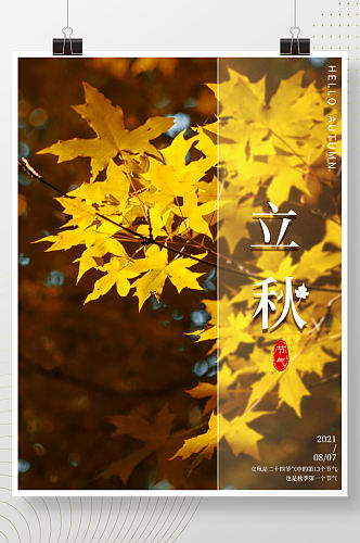 简约二十四节气之立秋节日枫树海报