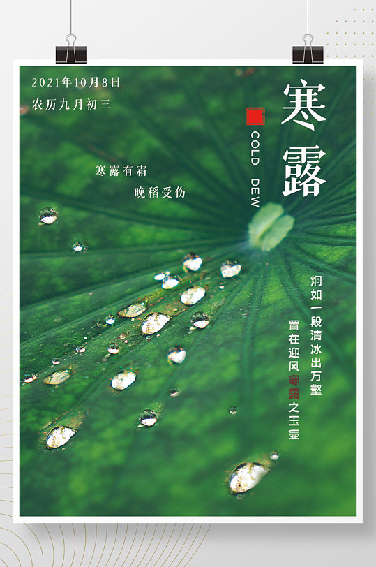 中国传统二十四节气之寒露节气海报