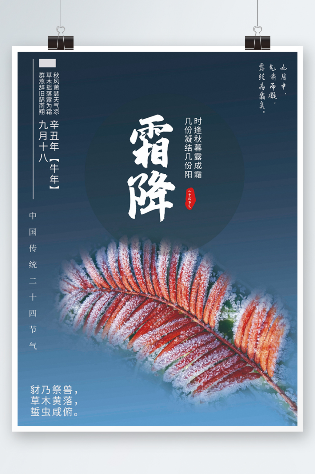 霜降传统二十四节气宣传海报素材