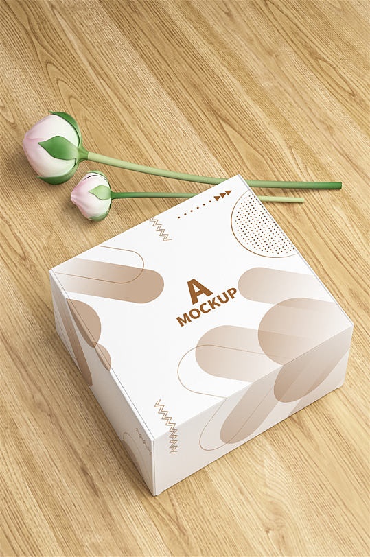 包装盒设计简约样机