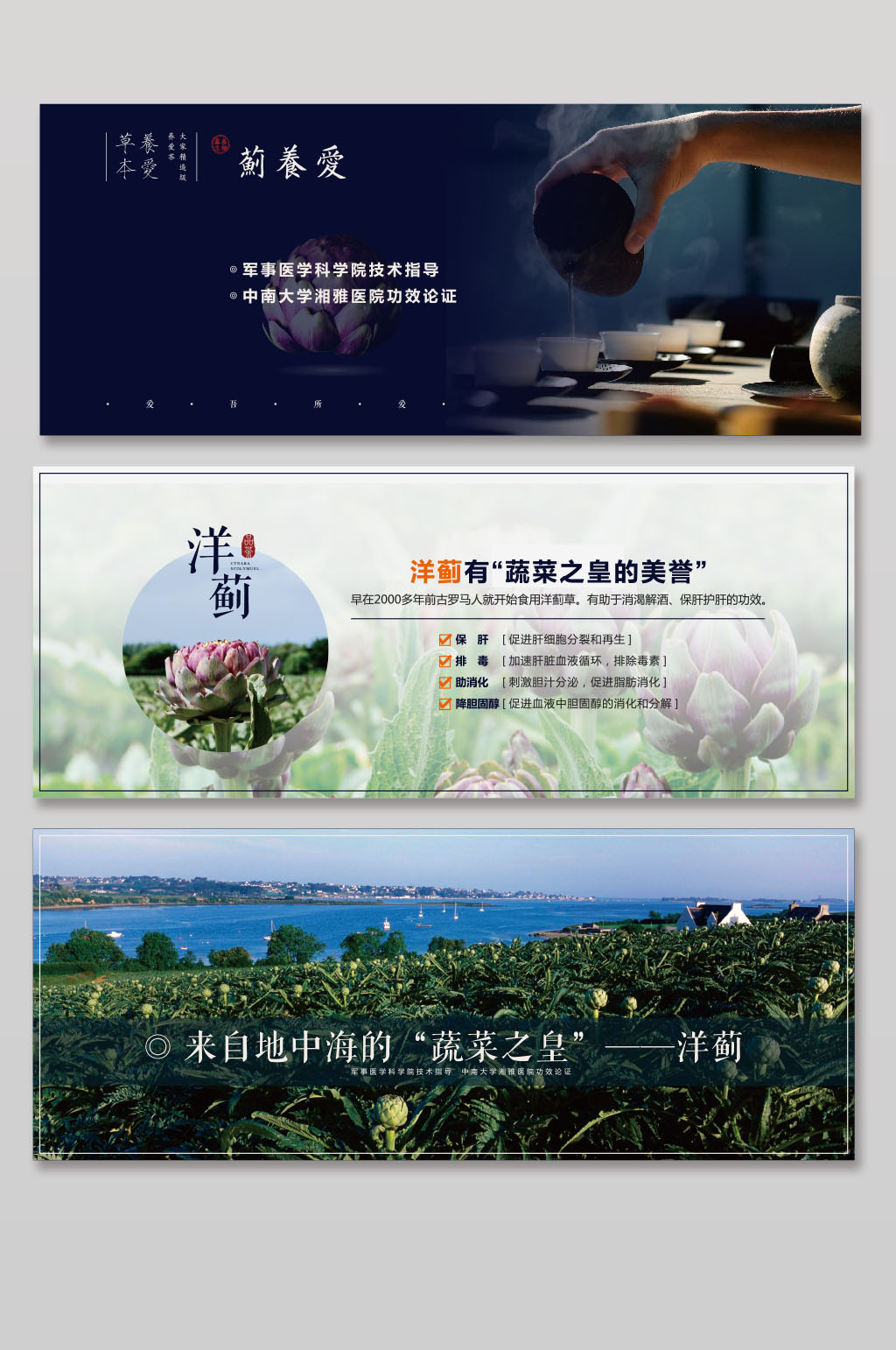 洋蓟朝鲜蓟网站海报素材
