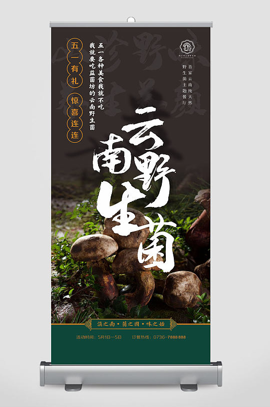 蘑菇云南珍稀野生食用菌易拉宝