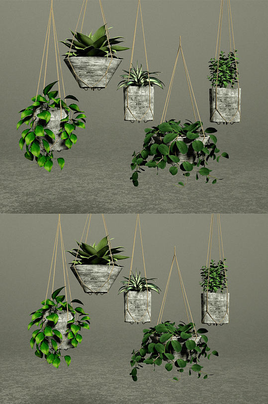 吊篮绿色景观盆景绿植植物盆栽C4D模型