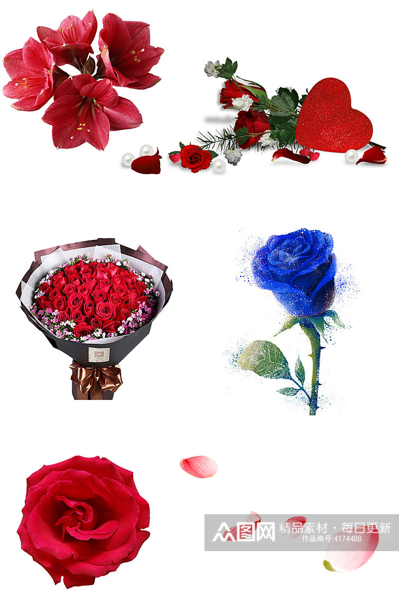 红玫瑰花蓝玫瑰花瓣花束七夕情人节素材