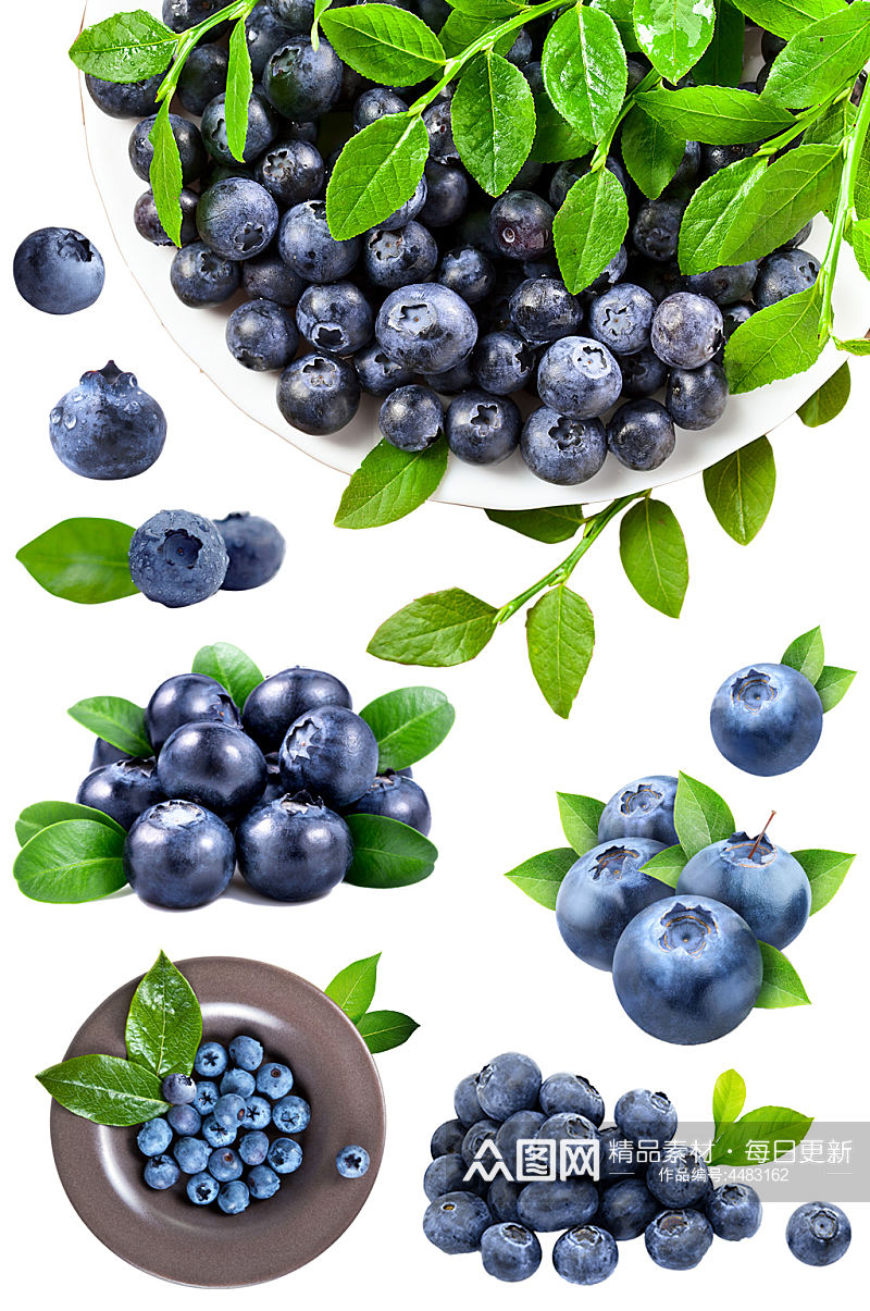 蓝莓水果免扣素材素材