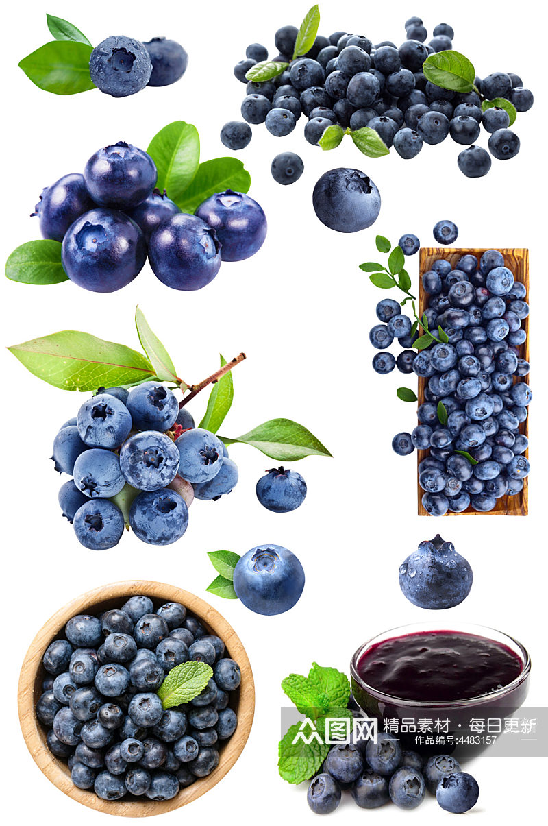 新鲜蓝莓水果免扣素材素材
