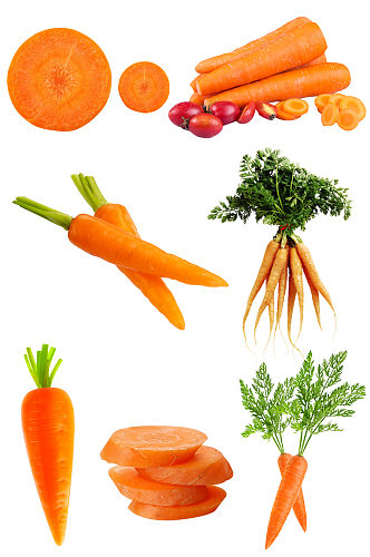 胡萝卜有机蔬菜素材免抠元素
