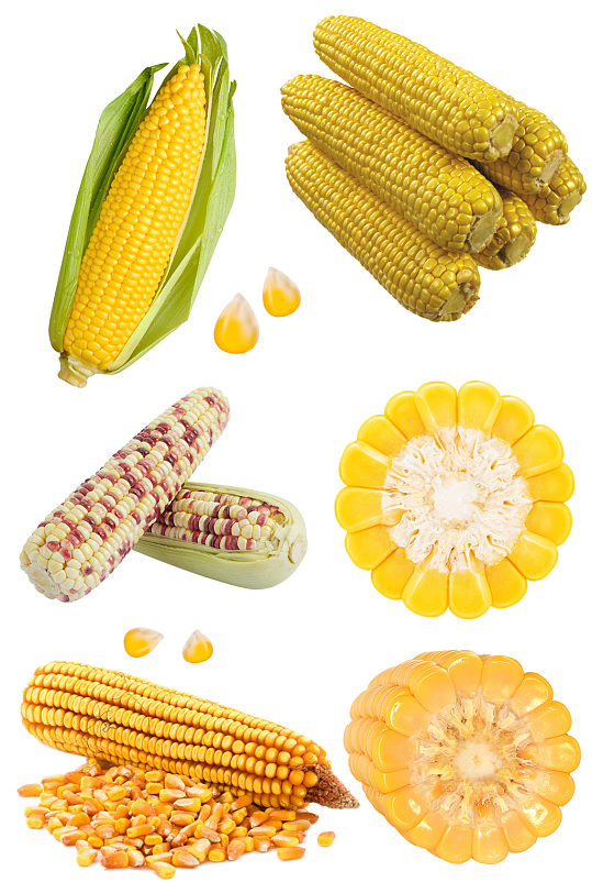 玉米食材免扣素材蔬菜玉米粒