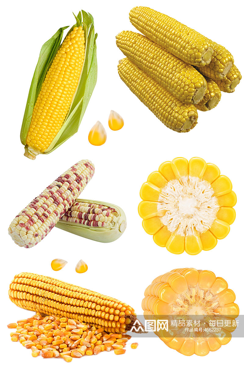 玉米食材免扣素材蔬菜玉米粒素材