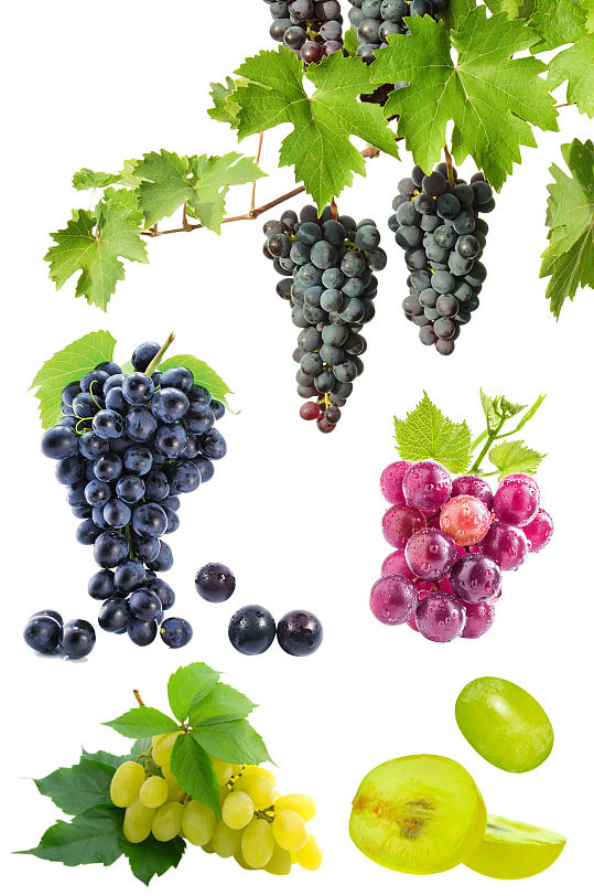 葡萄藤高清葡萄青提红提水果紫葡萄素材元素