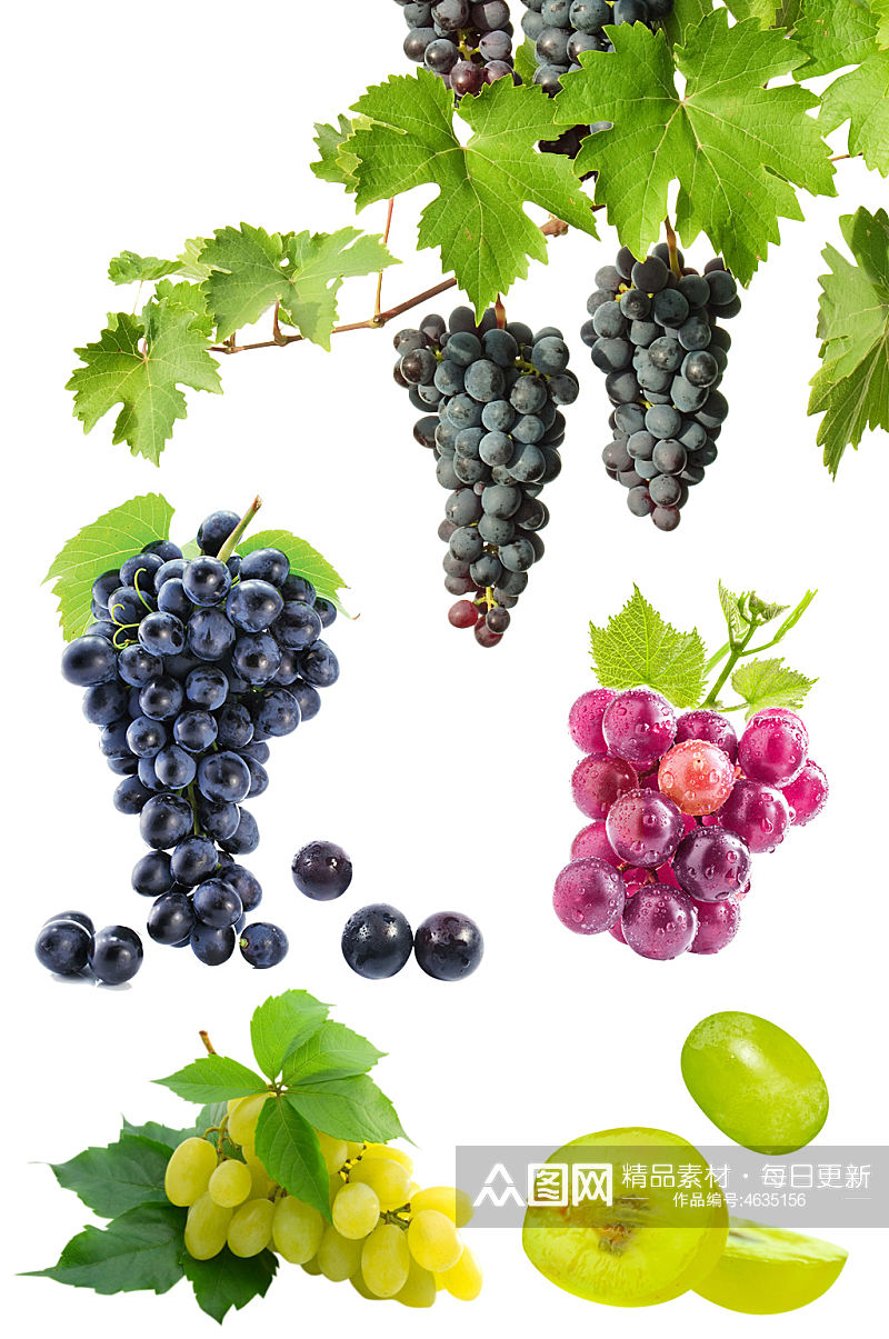 葡萄藤高清葡萄青提红提水果紫葡萄素材元素素材