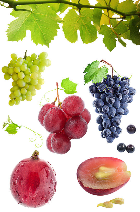 葡萄籽藤高清葡萄青提红提水果紫葡萄素材