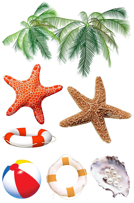 海滩海星沙滩排球游泳圈贝壳珍珠椰子树