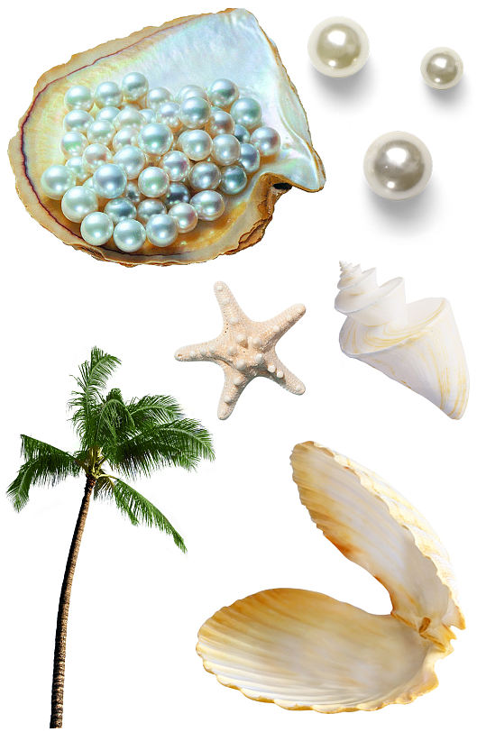 贝壳珍珠海螺海星海洋沙滩素材元素