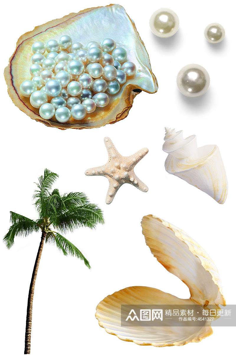 贝壳珍珠海螺海星海洋沙滩素材元素素材