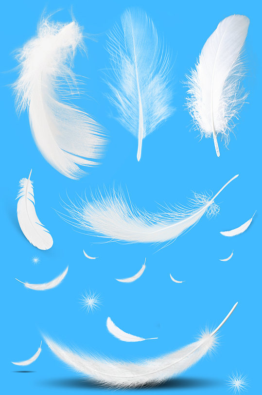 创意水彩孔雀羽毛免抠设计元素素材下载-众图网