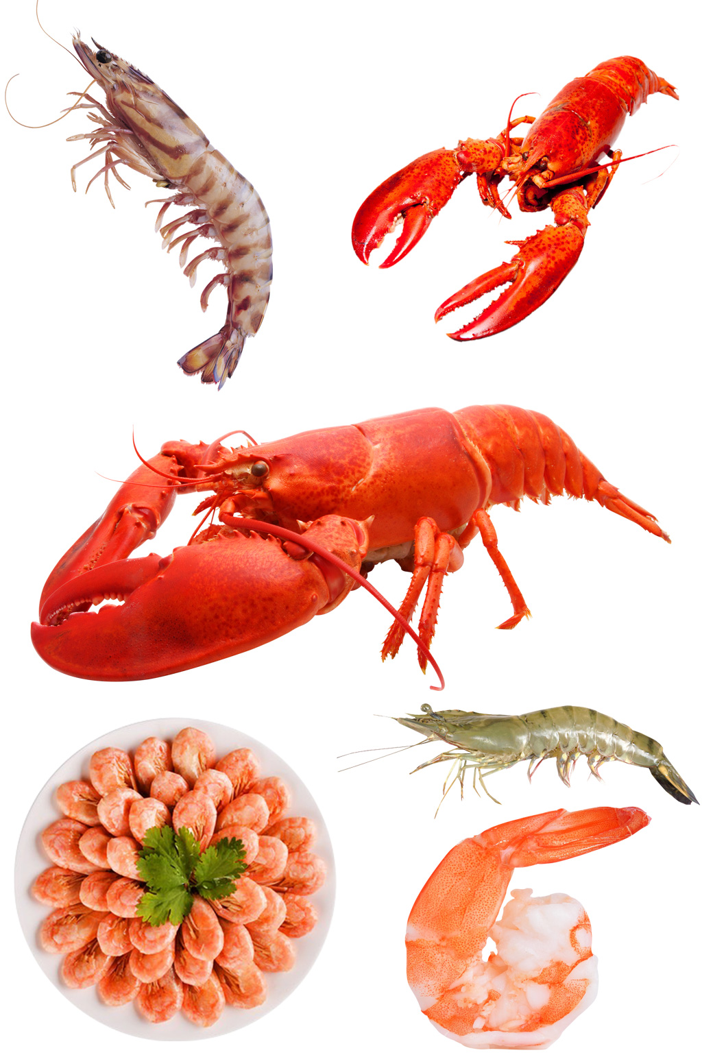 小龙虾生鲜虾仁冰虾食材免抠元素素材