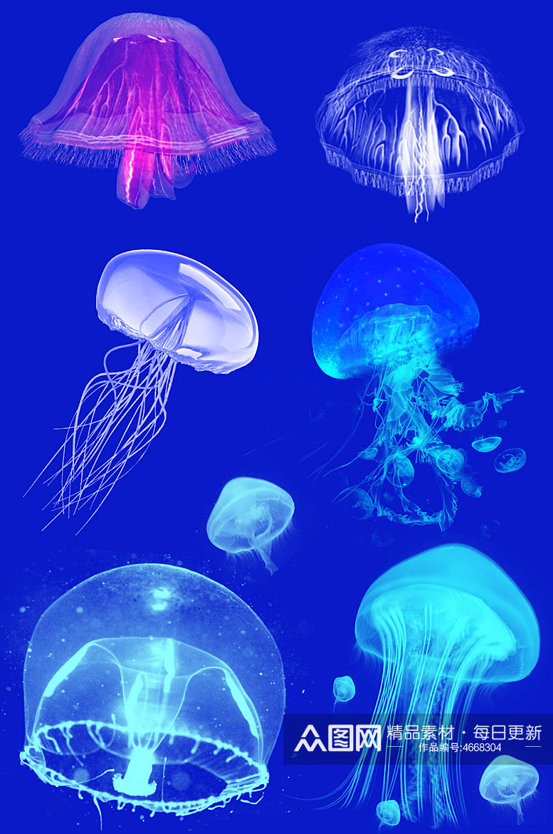 水生物水母免抠素材元素素材
