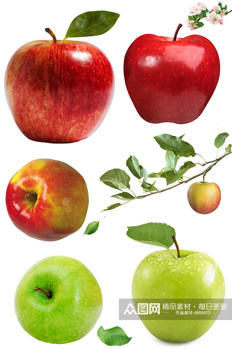 水果红苹果青苹果苹果花免抠素材元素素材