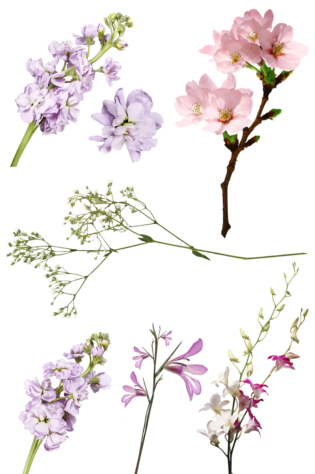 花枝樱花免抠素材元素素材