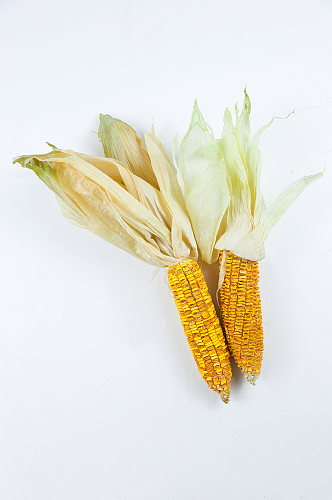 老玉米苞谷杂粮美食营养五谷杂粮摄影图片