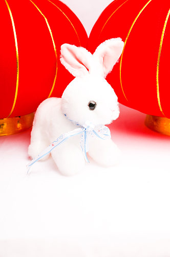 兔年兔子红灯笼新年春节物品元素摄影图片