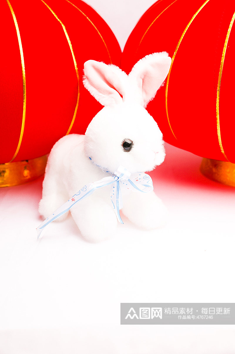 兔年兔子红灯笼新年春节物品元素摄影图片素材