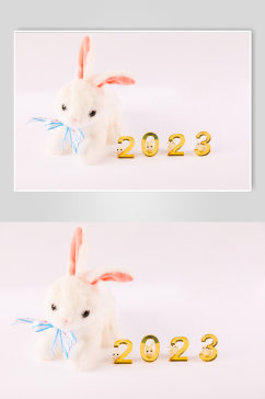 2023数字微距兔子春节物品元素摄影图片